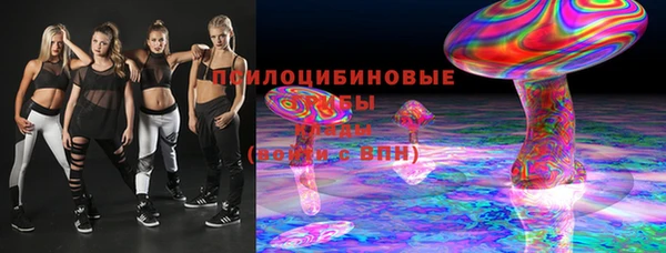 СК Осинники