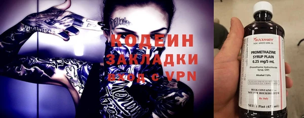 дурь Осташков