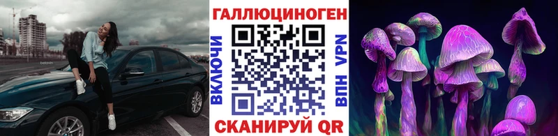 Псилоцибиновые грибы мицелий  hydra ссылка  Инза  цена  